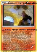 ADSEA 05 FORT