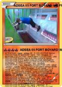 ADSEA 05 FORT