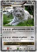 tigre blanc