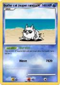 Surfer cat