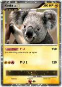 Koala