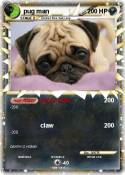 pug man