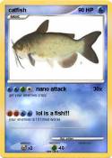 catfish