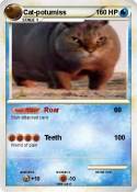 Cat-potumiss