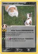 union nougat et