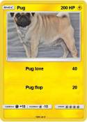 Pug