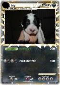 isy