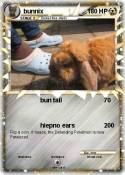 bunnix