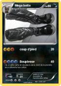Mega botte