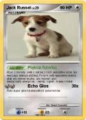 Jack Russel