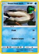 Green head duck