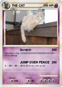 THE CAT