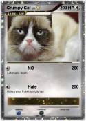 Grumpy Cat