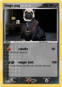 magic pug