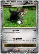 chaton