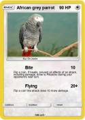 African grey