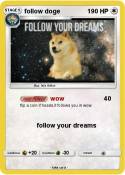 follow doge