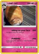 LOAF CAT