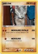petit chat