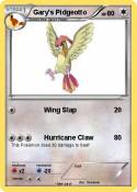 Gary's Pidgeott