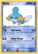 Mudkip