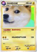 DOGEDOGE
