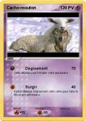 Cache-mouton