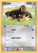 cute pup