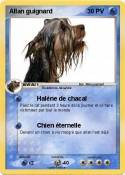 Allan guignard