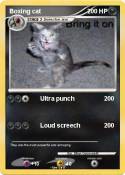 Boxing cat