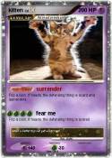 kitten