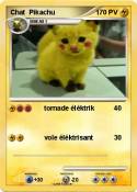 Chat Pikachu