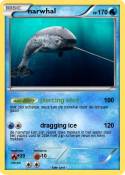 narwhal
