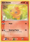 AJ's Torchic