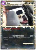 Dog