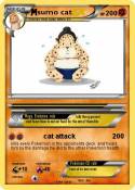 sumo cat