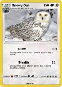 Snowy Owl