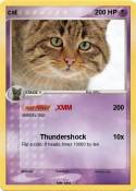 cat