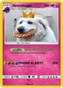 Directdoggo