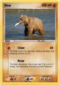 Bear