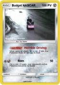 Budget NASCAR