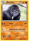 Harambe