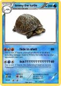 timmy the turtl