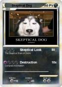 Skeptical Dog