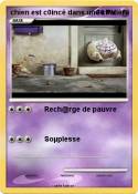 chien est c0inc