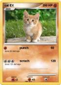 cat EX