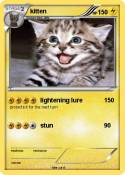 kitten