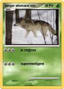 berger allemand