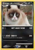 Grumpy cat