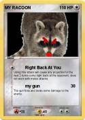MY RACOON